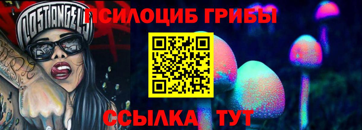 Галлюциногенные грибы прущие грибы Новоалтайск